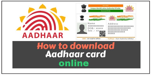 How To Download Your E-Aadhaar in 6 Easy Steps ?